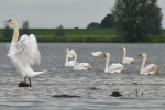 Crezée Watersport - Biesbosch