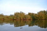 Crezée Watersport - Biesbosch