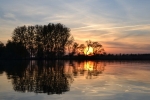Crezée Watersport - Biesbosch