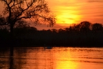 Crezée Watersport - Biesbosch