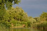 Crezée Watersport - Biesbosch